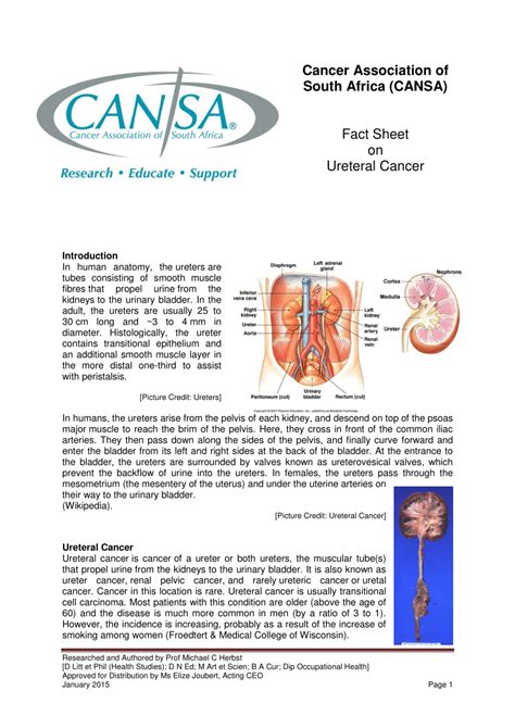 Pdf Fact Sheet On Ureteral Cancer