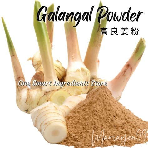 Galangal Powder 高良姜粉Serbuk Lengkuas – Herbs & Spices | Flavour Enhancer | Natural Food Powder ...