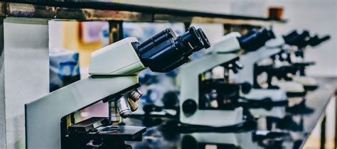 Different Types Of Laboratory Microscopes And Their Functions