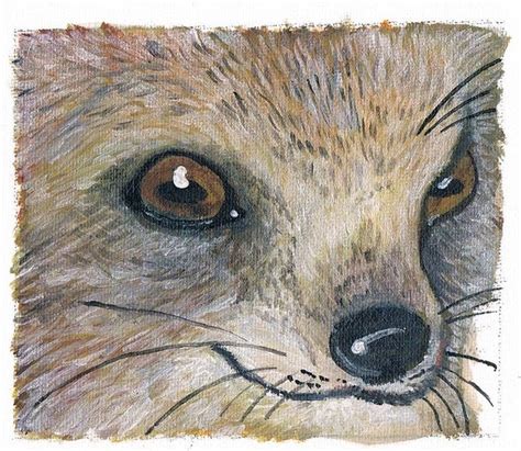 Mongoose By Hatenaboss On Deviantart Mongoose Art Painting