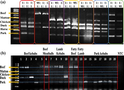 A Electropherograms Of Meat DNA That Amplified By Multiplex PCR B Meat