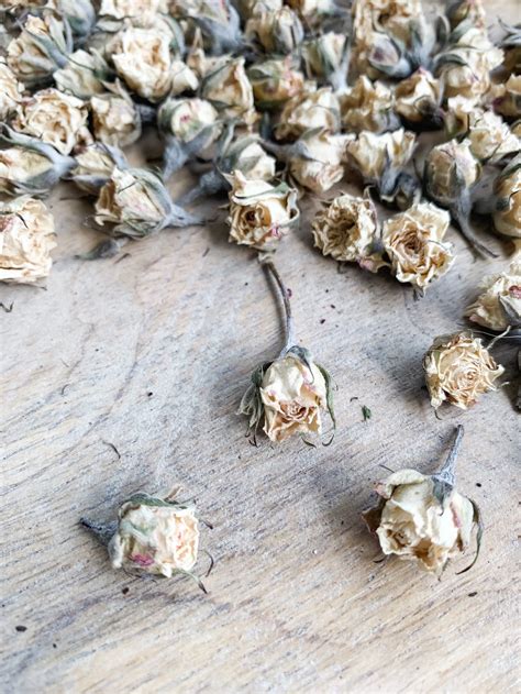 Preserved White Roses Dried White Roses Boho Real Flowers Etsy