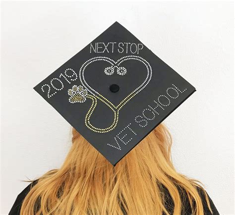 Next Stop Vet School Stethoscope Custom Graduation Cap Decal Iron On