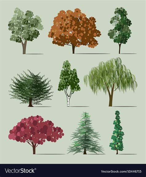 trees sketch set royalty  vector image vectorstock