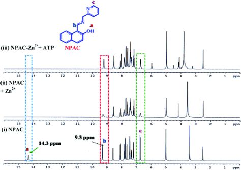 1 H Nmr Titration 400 Mhz Of Npac In Dmso D 6 At 25 1c And The Download Scientific Diagram