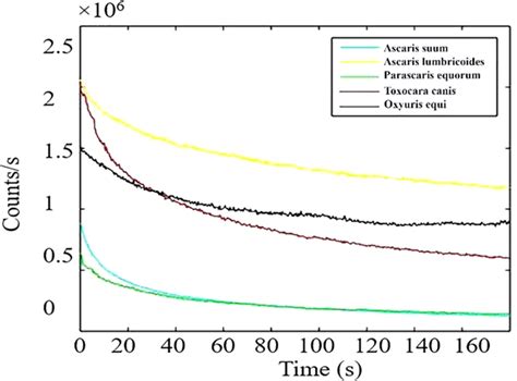 Photostability Investigation Representative Fluorescence Emission