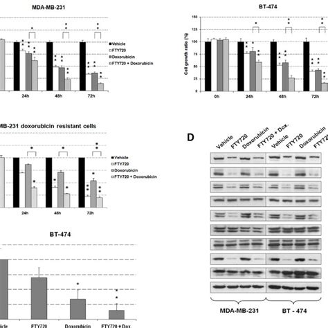 The Tumor Suppressor Pp2a Is Inhibited In Breast Cancer Cell Lines A