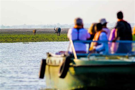 Brahmaputra River Cruise Assam - Adventure River Cruises India