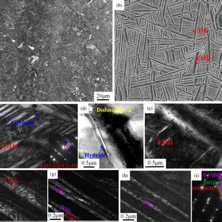 Microstructure Of The As Extruded Rod A OM B SEM And C E TEM