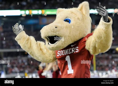 Oklahoma sooners mascot hi-res stock photography and images - Alamy