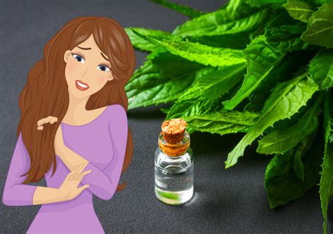 Peppermint Oil For Hair growth - Benefits & How To Use It