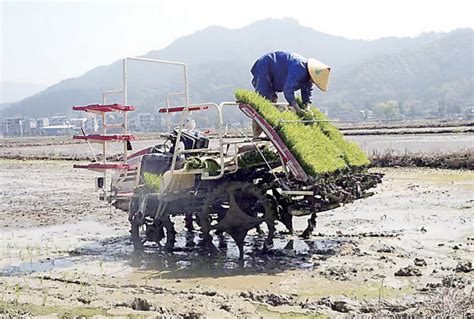 春回大地 万象“耕”新 闽北各地抓紧春播工作 大武夷新闻网