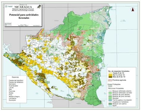 Mapa Potencial Para El Desarrollo De Actividades Forestales