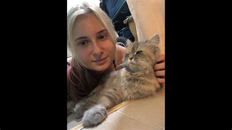 Кошка Соня нашлась благодаря видео в Ютубе. - YouTube