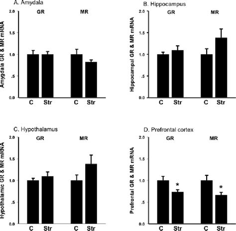 Expression Levels For Mrna Of The Glucocorticoid Receptor Gr And