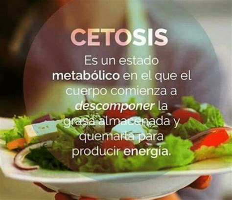 Cetosis Que Es Como Entrar Y Como Hacerlo Salud Diez