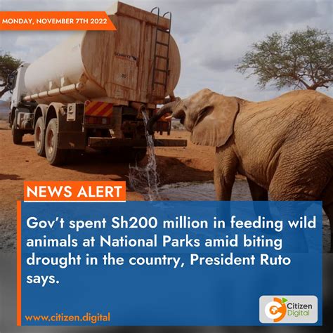 Africa Updates On Twitter Rt Citizentvkenya Govt Spent Sh