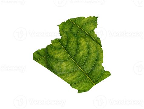 Algeria Map Made Of Green Leaves Ecology Concept 47072464 PNG