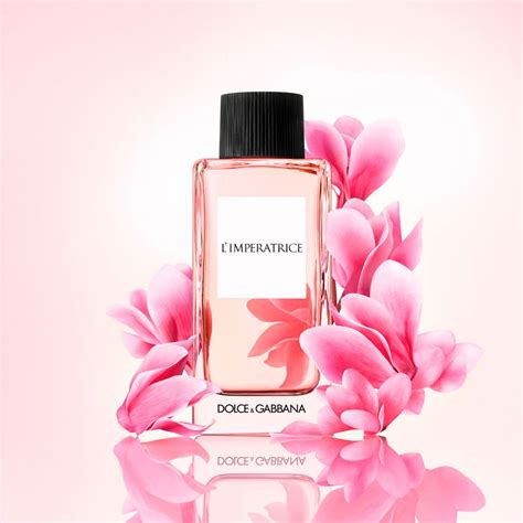 3 LIMPERATRICE Dolce Gabbana Precio Perfumes Club