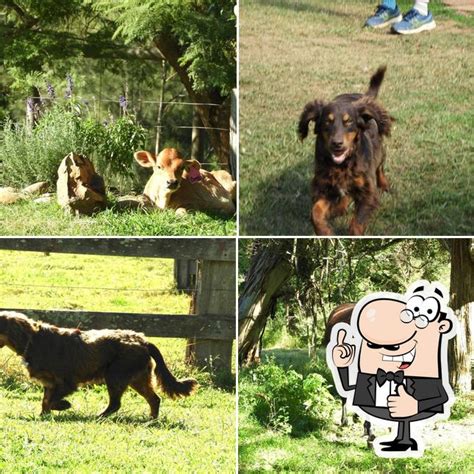 The Naked Farmers In Australia Restaurant Reviews