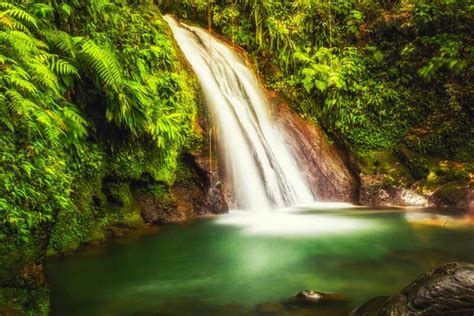 Top Les Plus Belles Cascades De Martinique Et Rivi Res