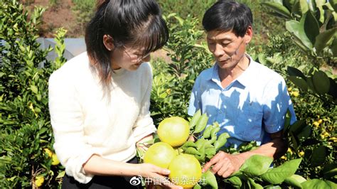 【乡村振兴的常山样本】新农人的“柚”彩人生胡柚常山新农人新浪新闻