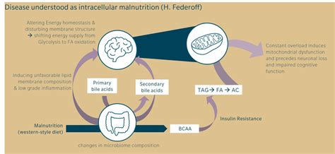 Is Alzheimer S A Metabolic Disease Biocrates Life Sciences Ag