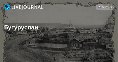 Бугуруслан : humus — LiveJournal