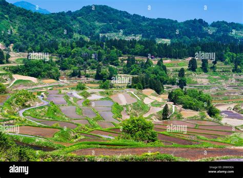 Rice terraces of Hoshitoge Stock Photo - Alamy