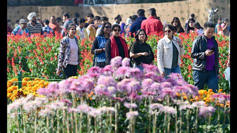 Night temp slides further to 7.6°C in Chandigarh - Hindustan Times