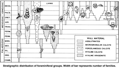 The Fossil Record