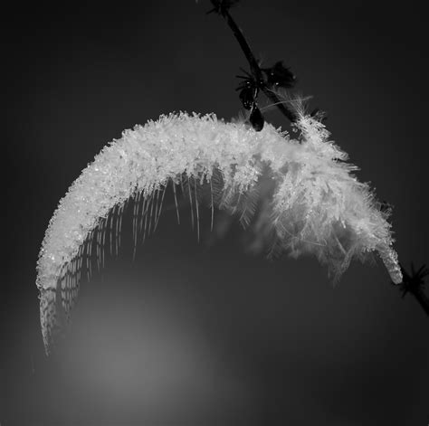 A Touch of Frost. on Behance