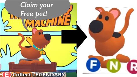 New Free Scoob Pet Update In Adopt Me Roblox Youtube