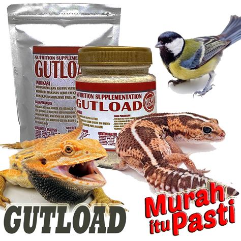 Jual GECKO GUTLOAD PENGGEMUK REPTILE VITAMIN JANGKRIK KECOA DUBIA