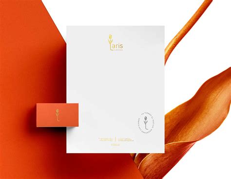 LARIS on Behance