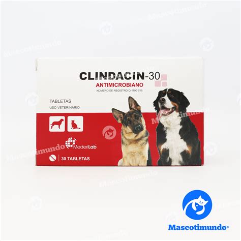 Clindacin Antimicrobiano Tabletas Mascotimundo