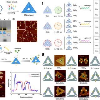 Design And Characterization Of Dna Origami Based Modular D Nanoarrays