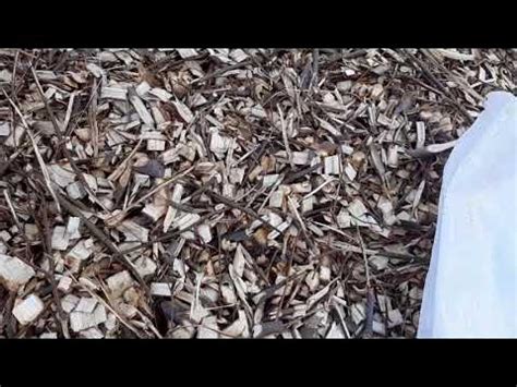 Мульча, для роз ДАРОМ - YouTube