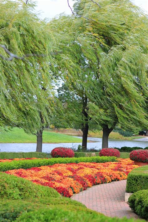 Romancing The Home Fall Color At The Chicago Botanic Gardens