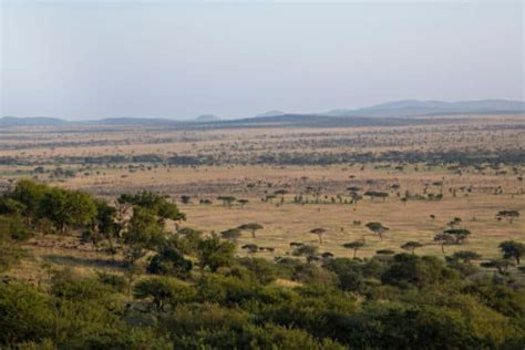 6 Amazing Plains of Africa to Discover and Explore