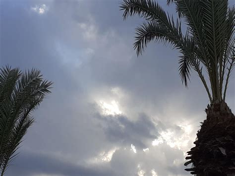 Jordan Evacuates Tourists from Petra After Flash Floods – Famagusta Gazette