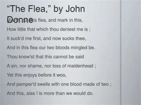 Ppt “the Flea ” By John Donne Powerpoint Presentation Free Download