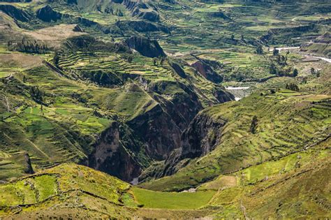 Colca Canyon Nazca Lines Travel Agency