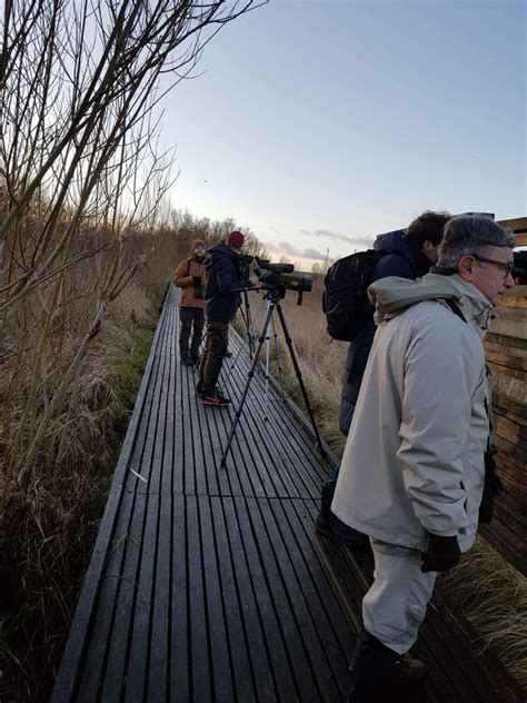 Comptage Wetlands Cpie Des Boucles De La Marne