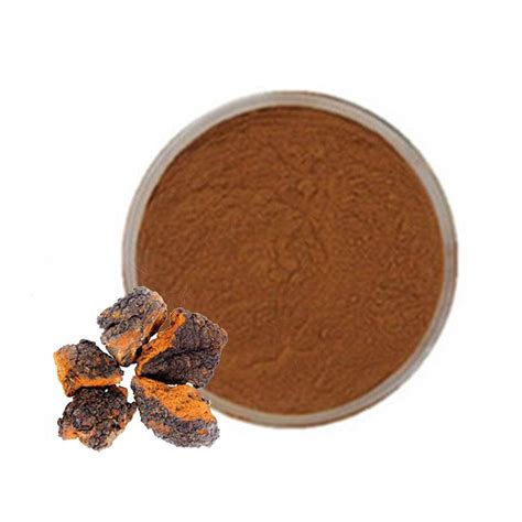 Manufacturer Supply 10 50 Polysaccharide Chaga Mushroom Extract