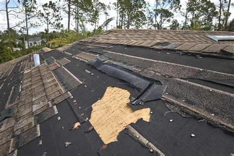 Types Of Roof Storm Damage What Homeowners Should Know