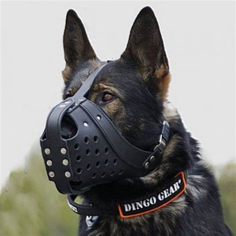 Shop Dog Muzzle in Australia | Soft Dog Muzzles for Comfort