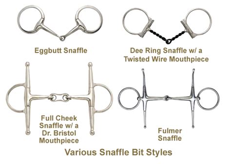 Types Of Horse Bits