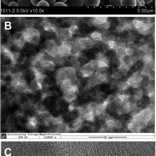 A Sem B Tem C High Resolution Tem Images Of N Css Scale Bars