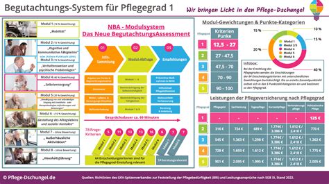 Pflegegrad Leistungen Lotta Rhiamon